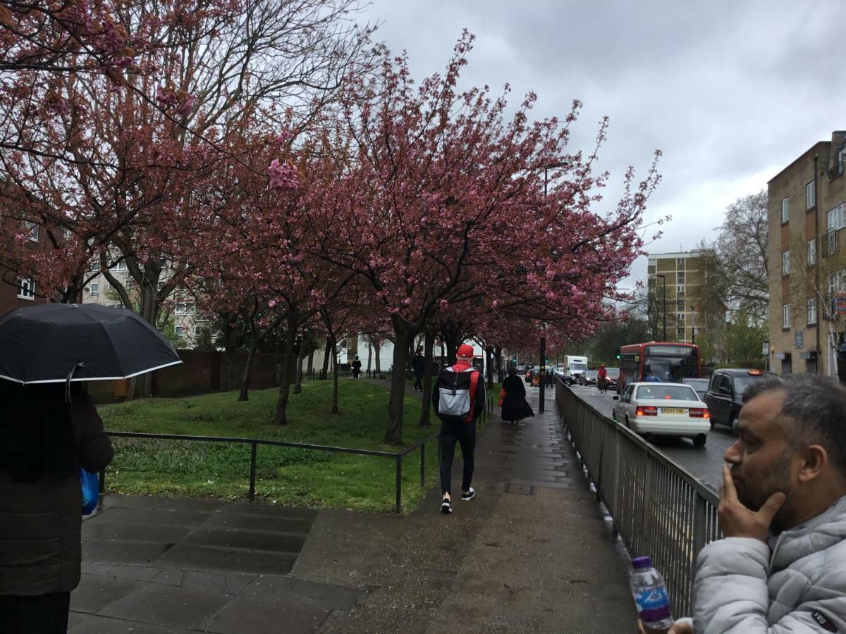 Al Iram Guest House Londra Dış mekan fotoğraf